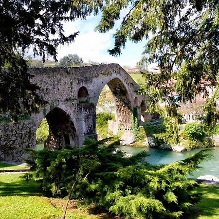 Apartamento El Cortijo Кангас-де-Онис Экстерьер фото